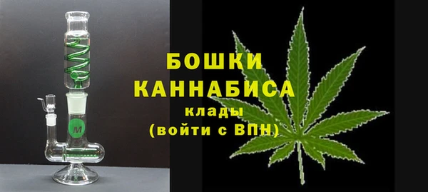 гидра Алексеевка