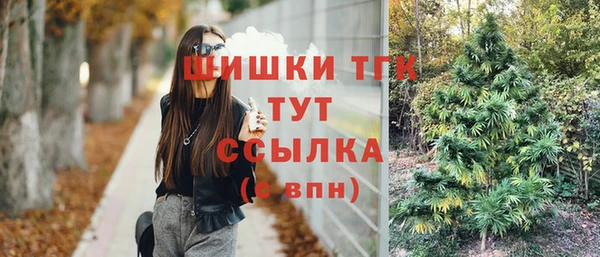 шишки Алзамай