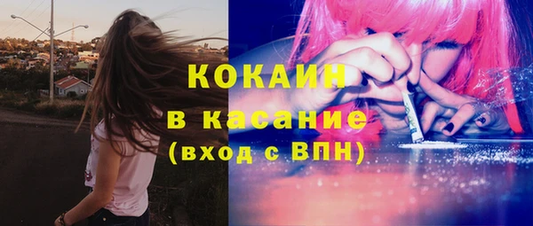 шишки Алзамай