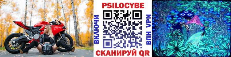 Галлюциногенные грибы GOLDEN TEACHER  продажа наркотиков  Камбарка 